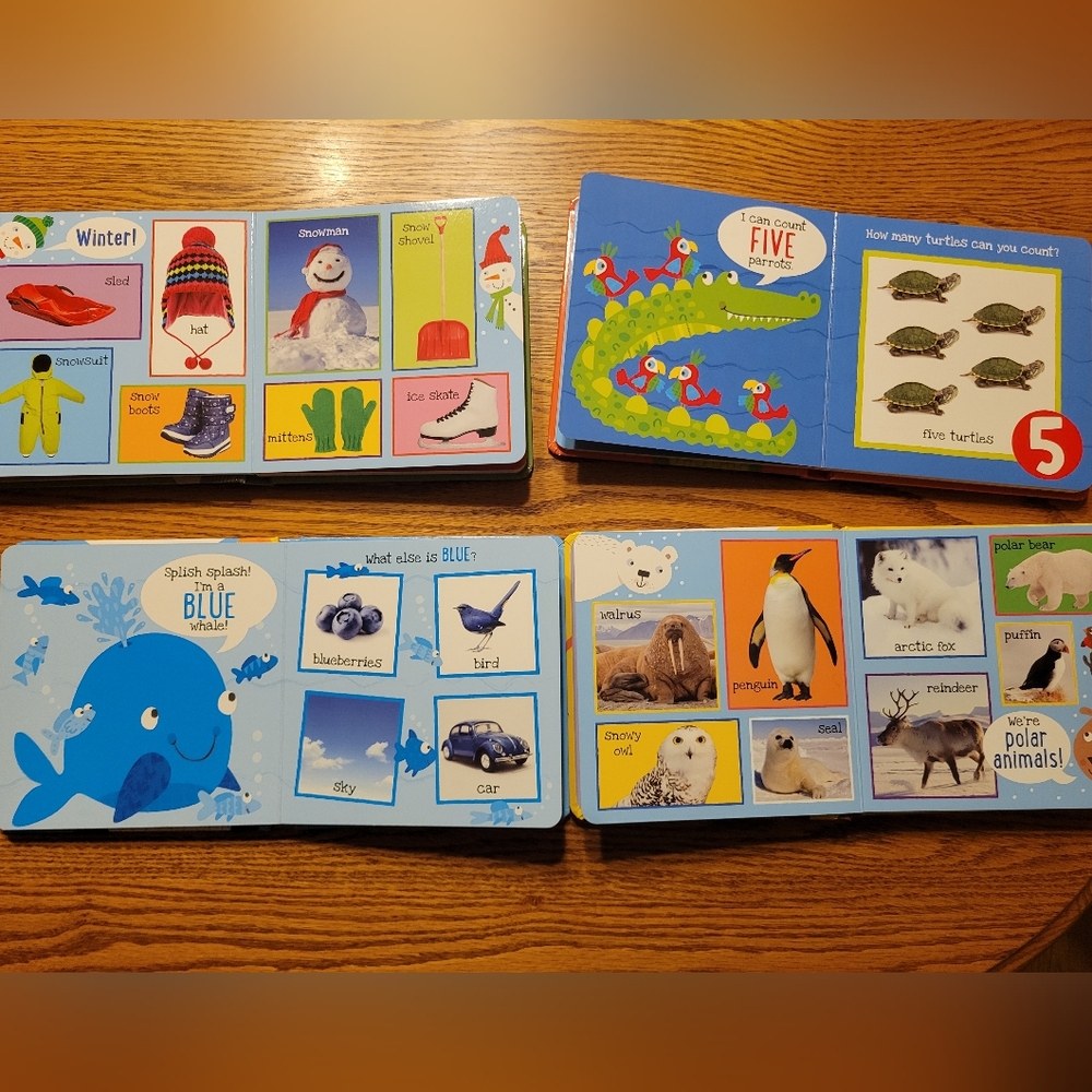 Board Book Set: Colors, Words, Animals & Numbers - Picture 6 of 7